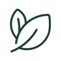 Beany, chalky, or strongly plant-protein tasting